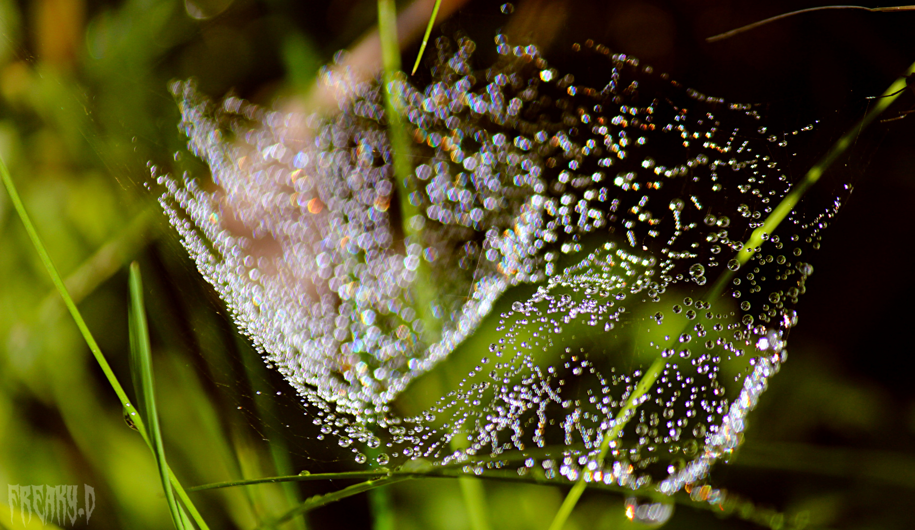 natural diamonds