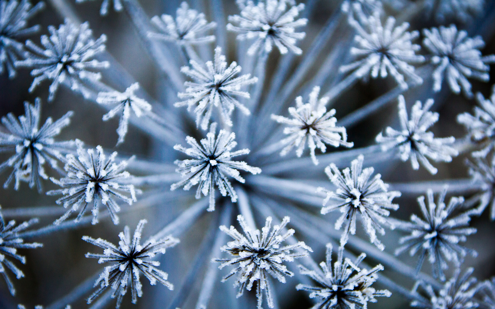 natural fireworks