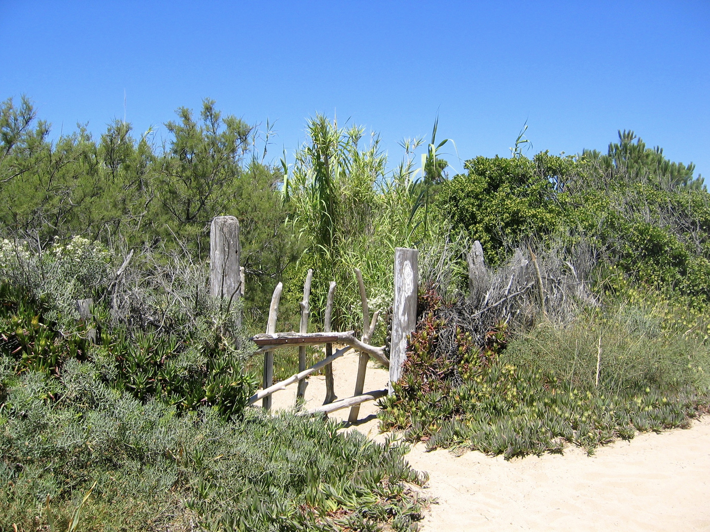 natural gate