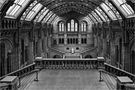 Natural History Museum von colorviews 