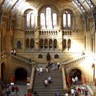 Natural History Museum