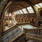 Natural History Museum