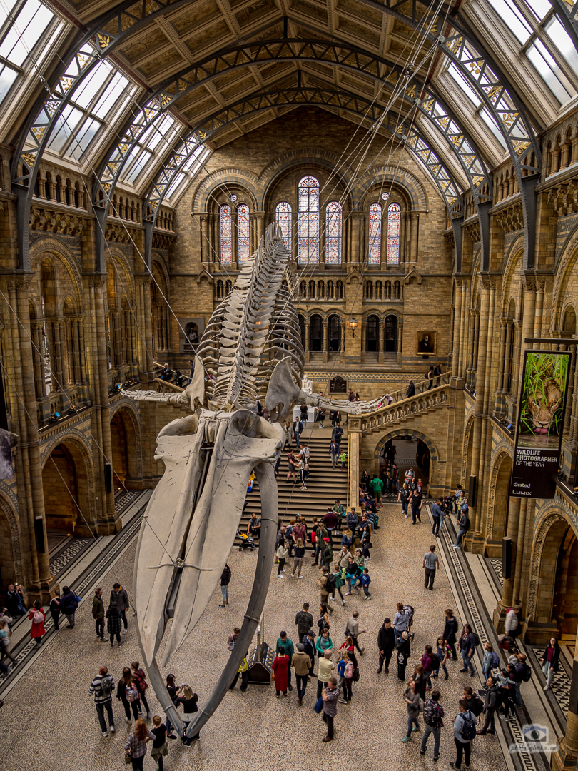 Natural History Museum