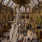 Natural History Museum