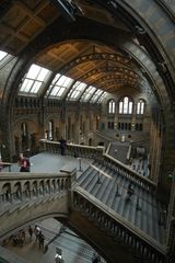 Natural History Museum