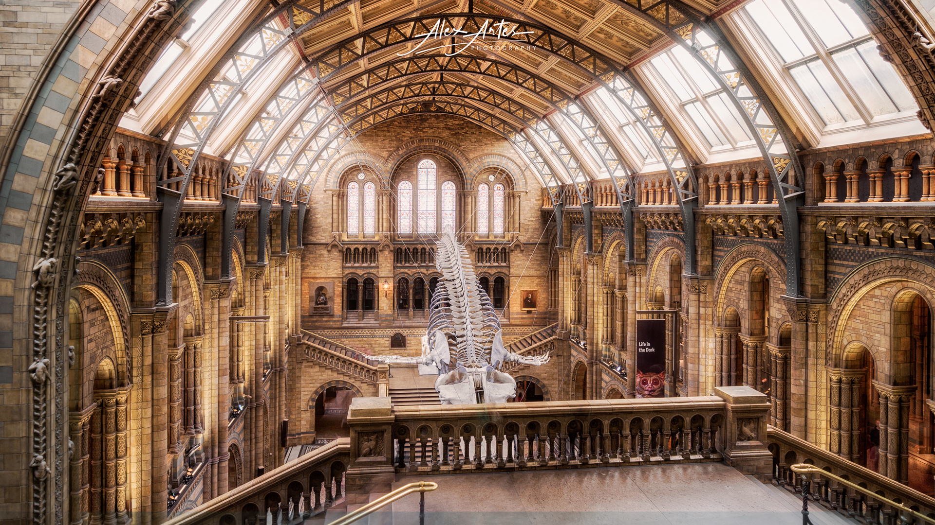 Natural History Museum