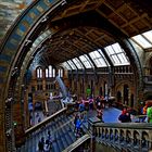 Natural History Museum 