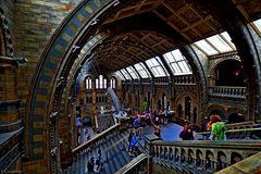 Natural History Museum 