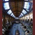 Natural History Museum