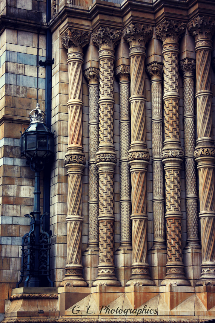 Natural History Museum