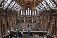 Natural History Museum