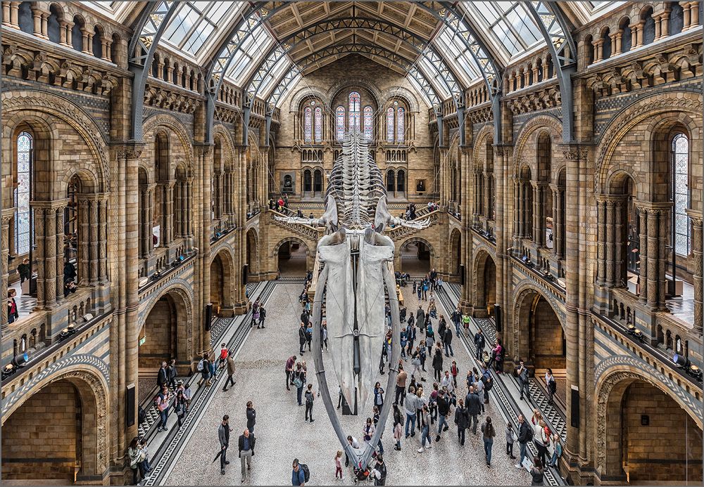 Natural History Museum