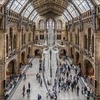 Natural History Museum