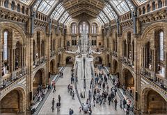 Natural History Museum