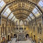 Natural History Museum...