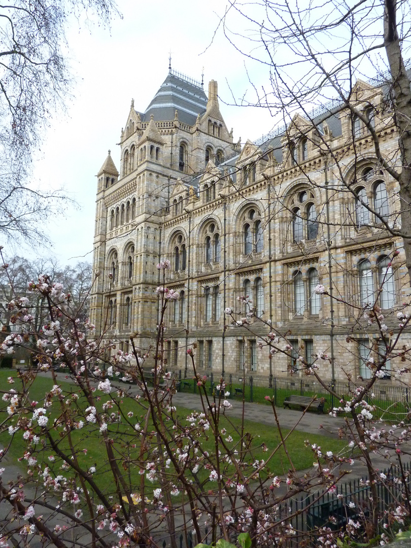 Natural History Museum