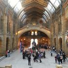 Natural History Museum