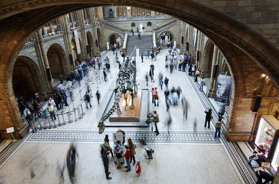 Natural History Museum