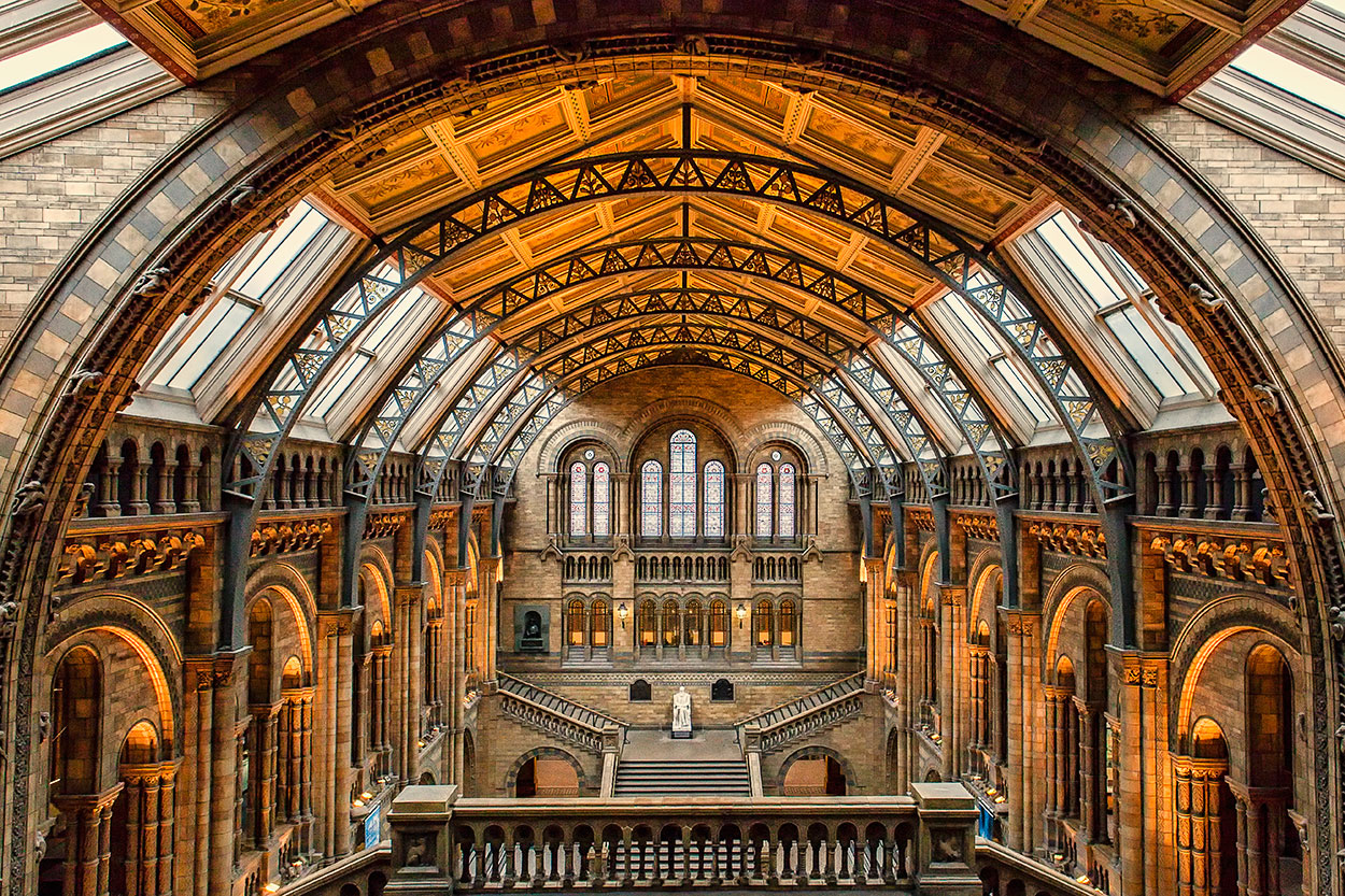 Natural History Museum - Central Hall