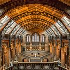 Natural History Museum - Central Hall