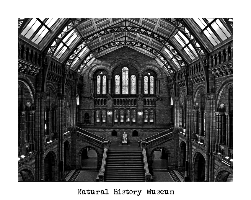 Natural History museum