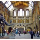 Natural History Museum - Eingangshalle