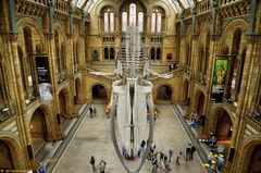  Natural History Museum 