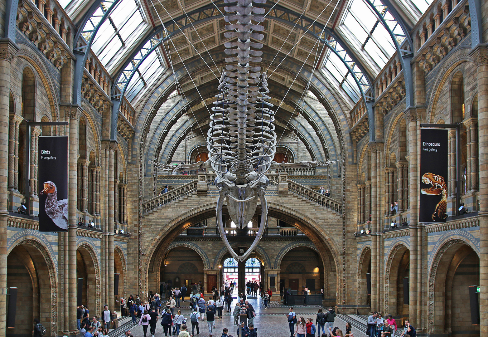 Natural History Museum in London