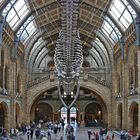 Natural History Museum in London