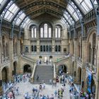 Natural History Museum in London im HDR-Modus