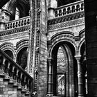 Natural History Museum London