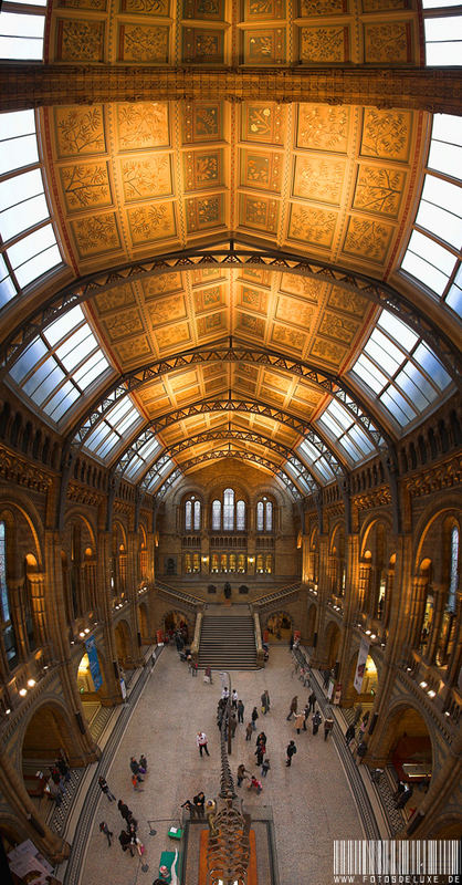 Natural History Museum London