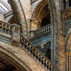 Natural History Museum London