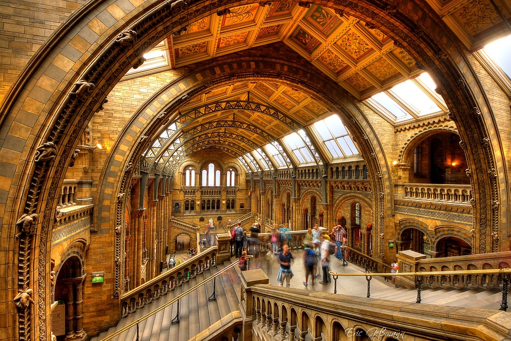 Natural History Museum London