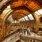 Natural History Museum London