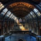 Natural History Museum London