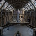 Natural History Museum London