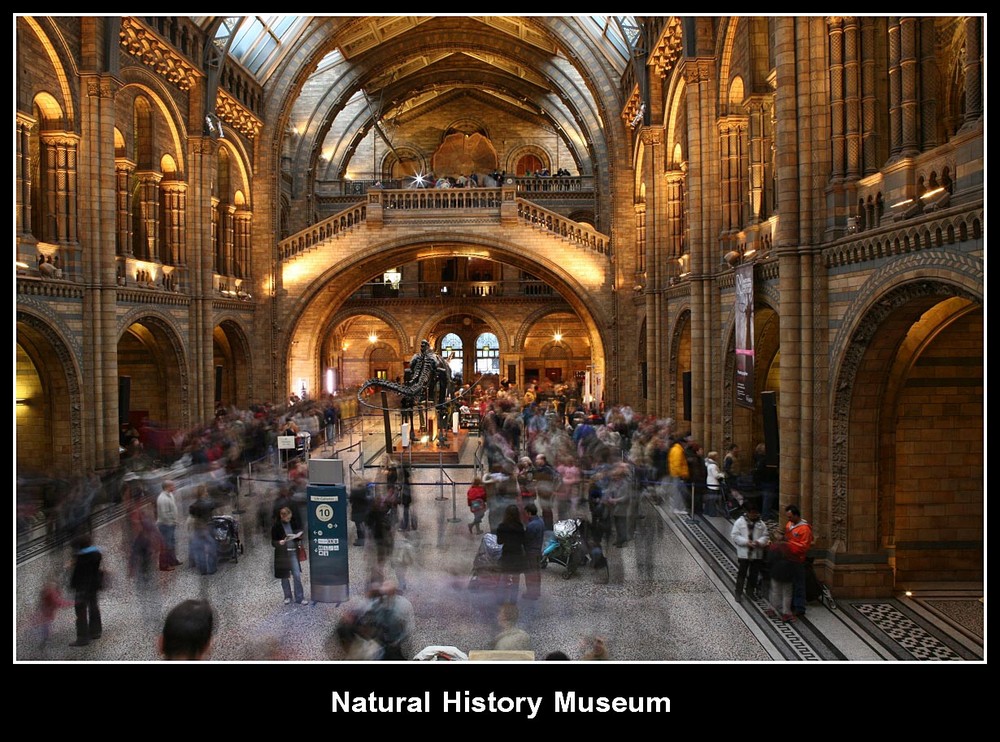 Natural History Museum London