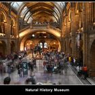 Natural History Museum London