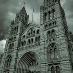 Natural History Museum, London