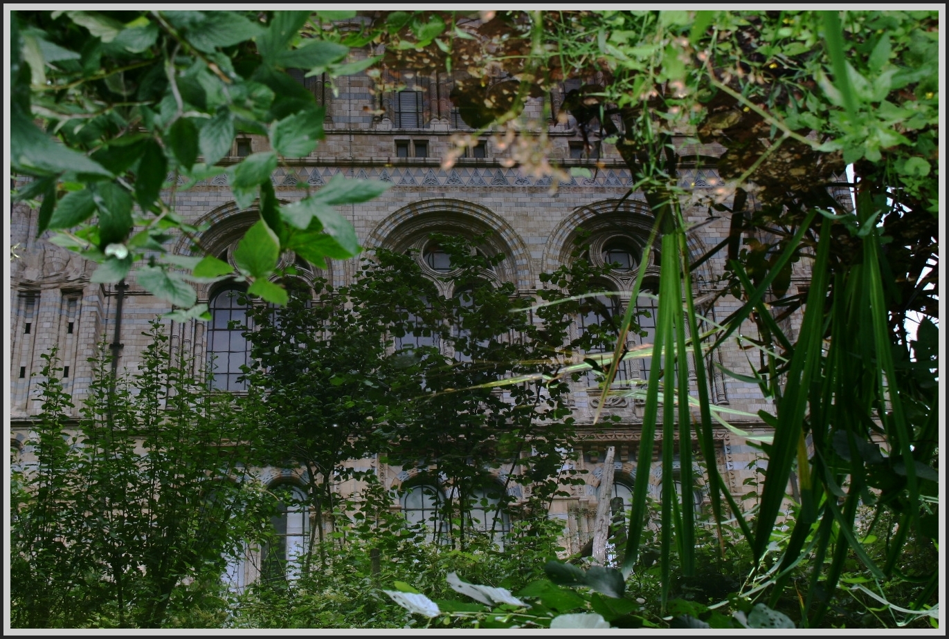 Natural History Museum London