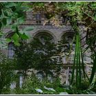 Natural History Museum London