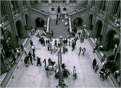 Natural History Museum, London