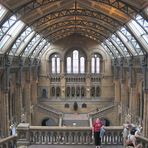 Natural History Museum - London