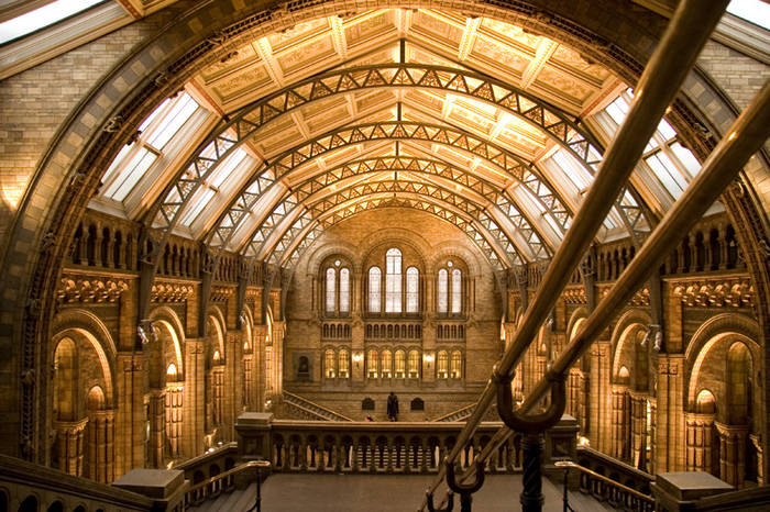 Natural History Museum: London, England