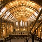 Natural History Museum: London, England