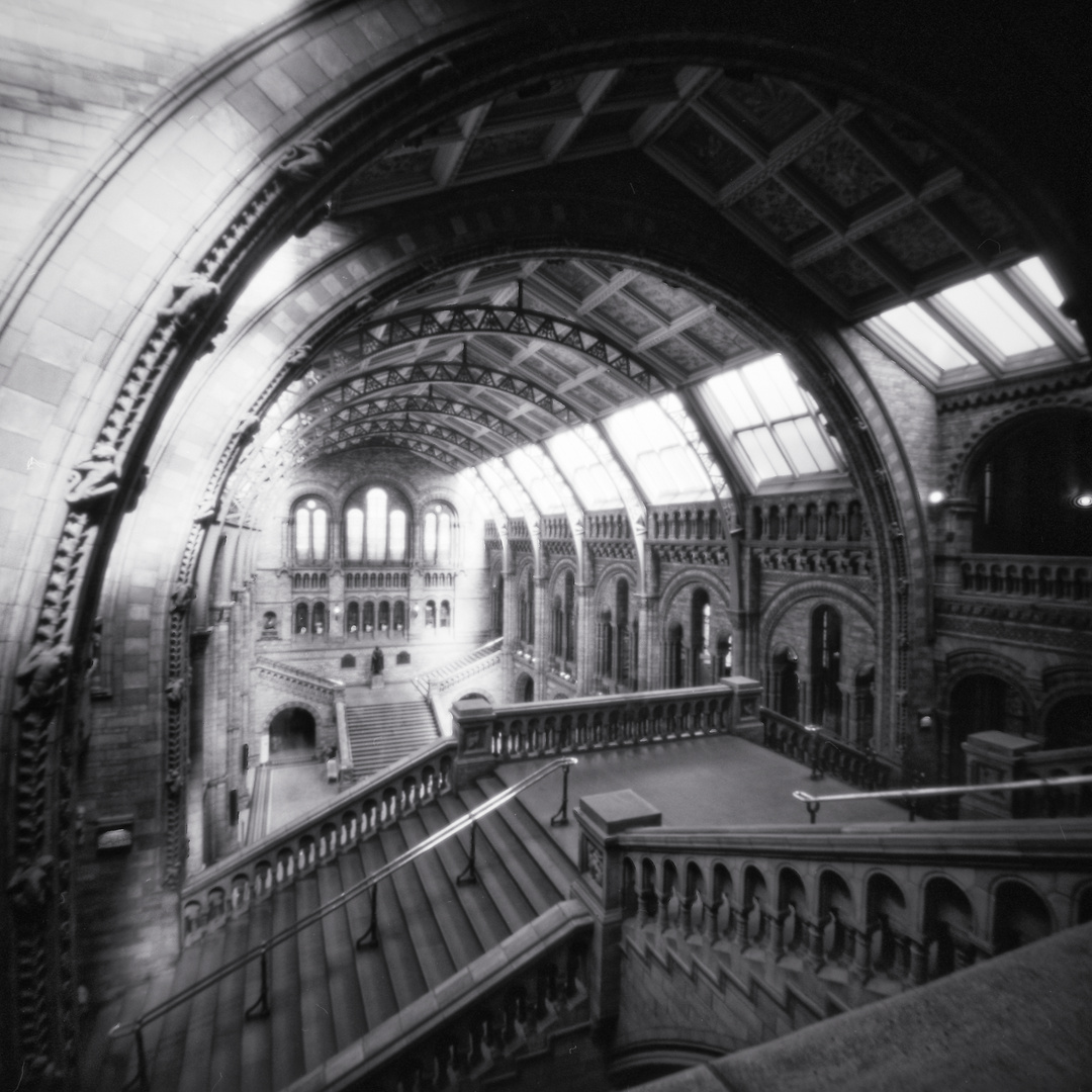 Natural History Museum, London, UK