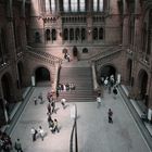 Natural History Museum, London, UK