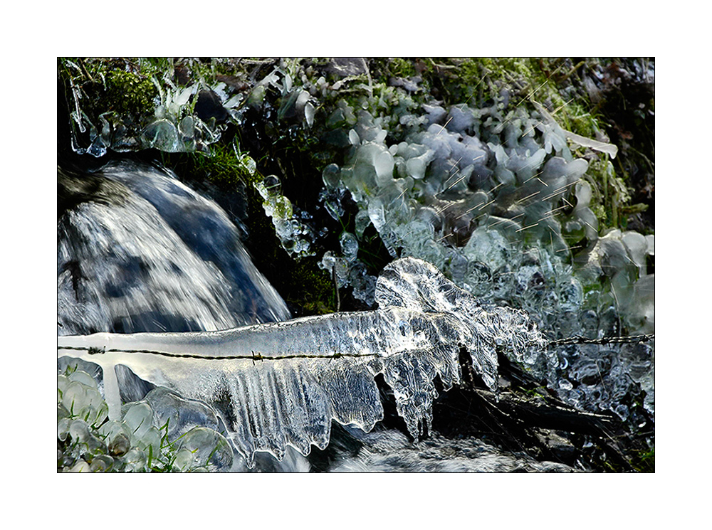 Natural Icy Art 4