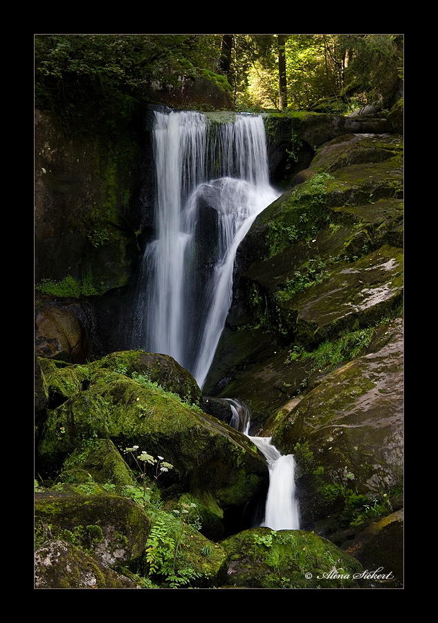 natural love - Die Elemente